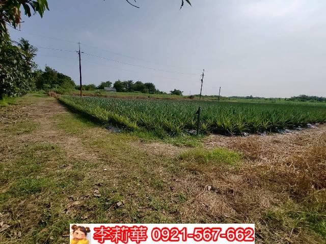 台南歸仁農地-5
