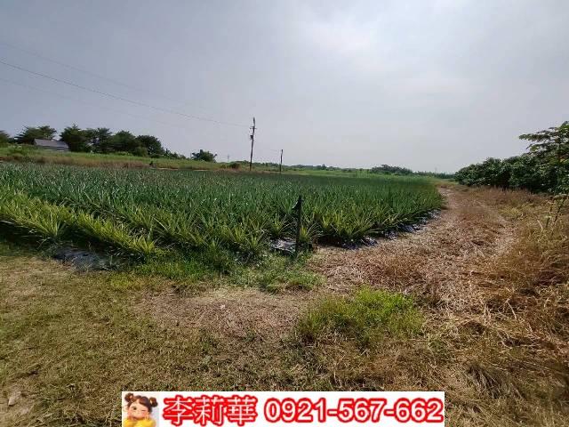 台南歸仁農地-6