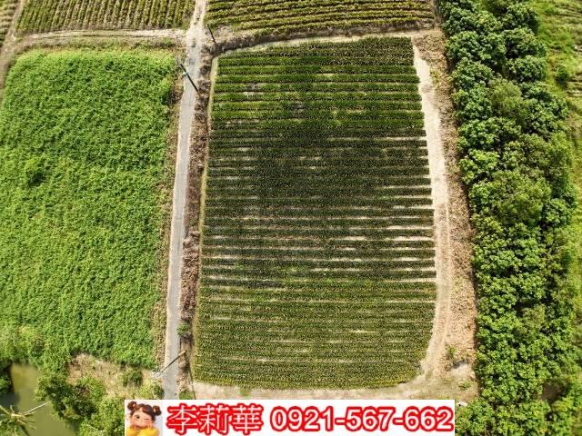 台南歸仁農地-8