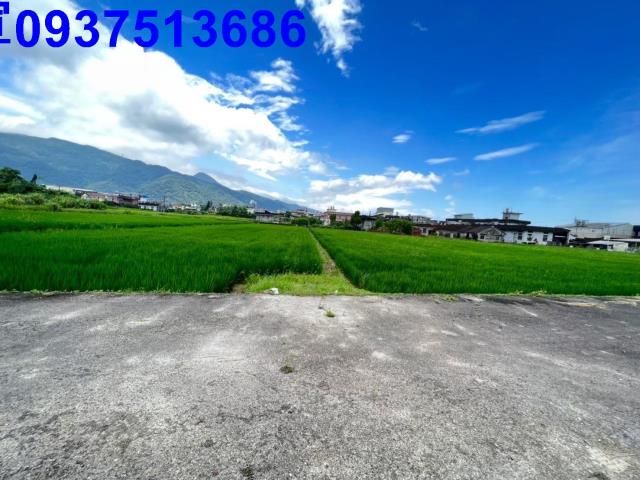 宜蘭礁溪農地-1