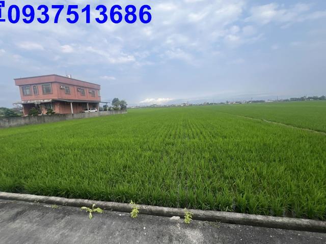 宜蘭礁溪農地-8