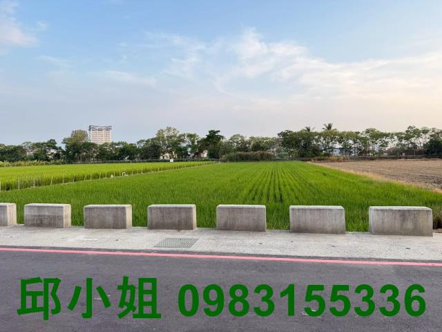 嘉義買房賣房房地合一稅建地農地