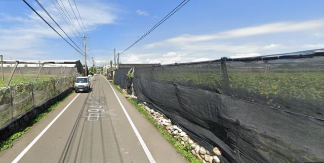 法拍農地新社景觀43分農地臨崑南街近新社花海