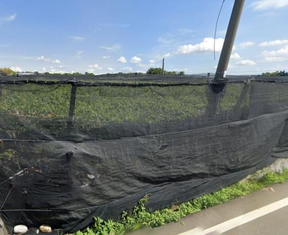 新社農地拍賣-3