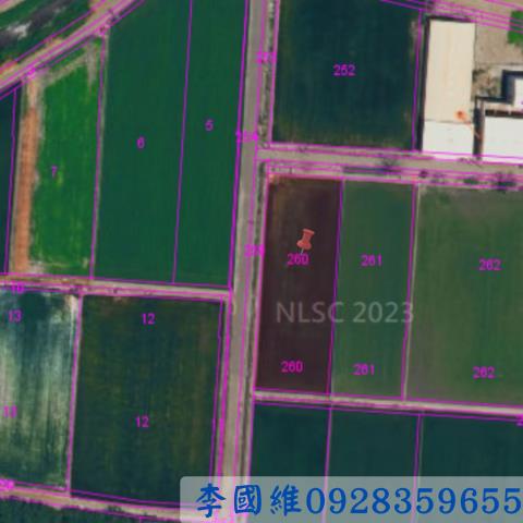 崙背法拍農地-2