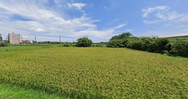 近青埔高鐵南路大坪數美農地低於實登