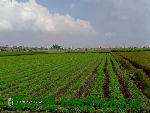 三界埔千坪農地