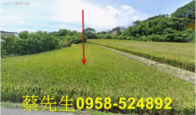 大溪仁和路農舍地興建農舍種植農作物