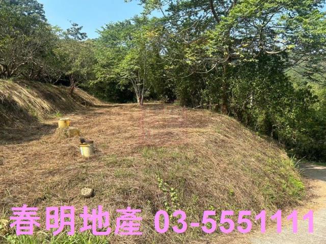 苗栗三灣農地-12