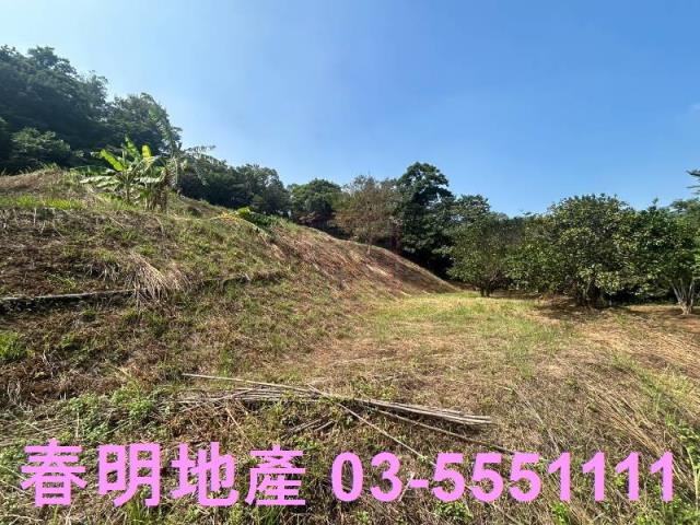 苗栗三灣農地-13