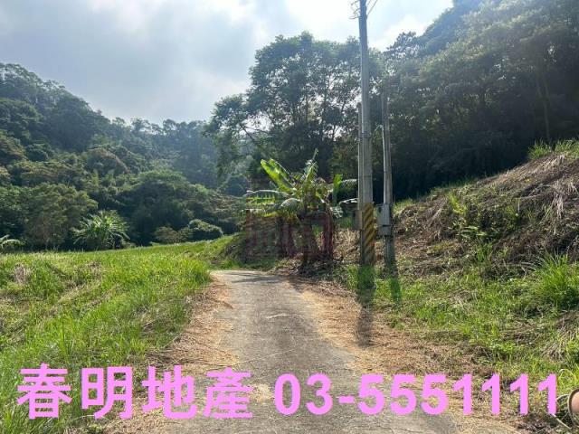 苗栗三灣農地-2