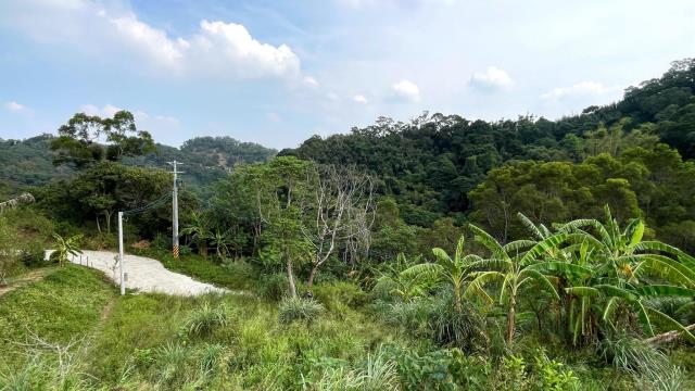 新竹寶山農地-13