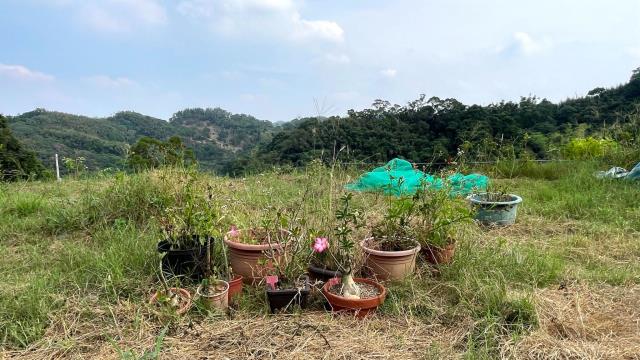 新竹寶山農地-5