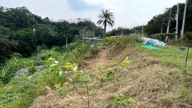 新竹寶山農地-8