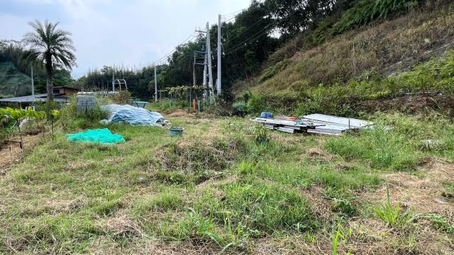 新竹寶山農地-12