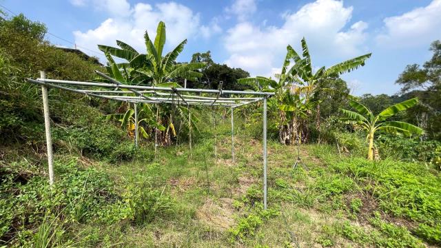 新竹寶山農地-2