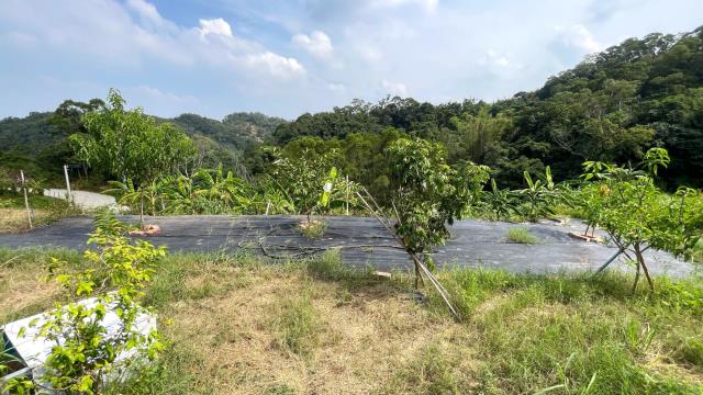 新竹寶山農地-5