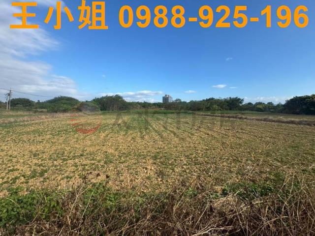 桃園楊梅農地-2