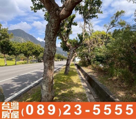 台東成功農地-5