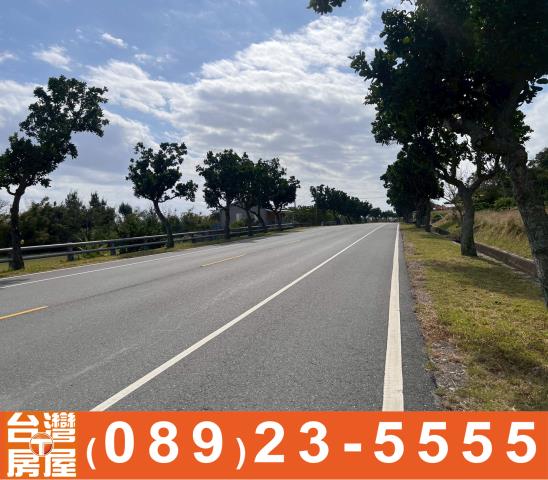 台東成功農地-8