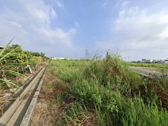 台南永康農地-8