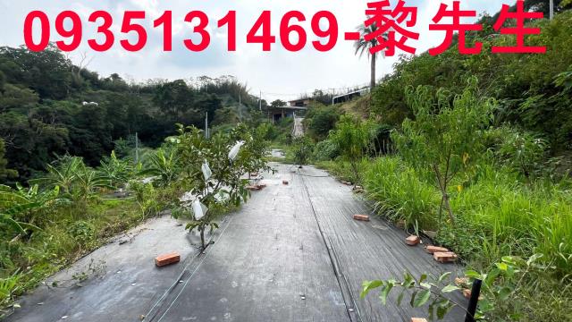 新竹寶山農地-12