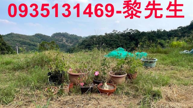 新竹寶山農地-5