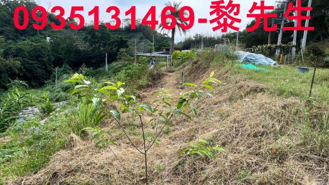 新竹寶山農地-8