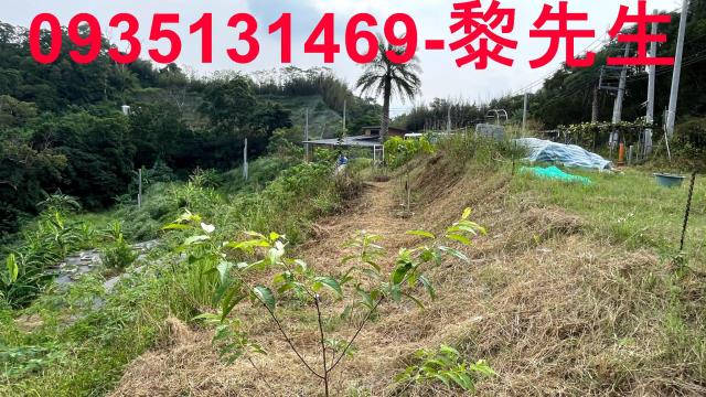 五峰天湖雲頂農地