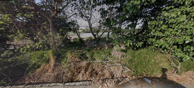 崙背州子種菜地種植農作物果樹