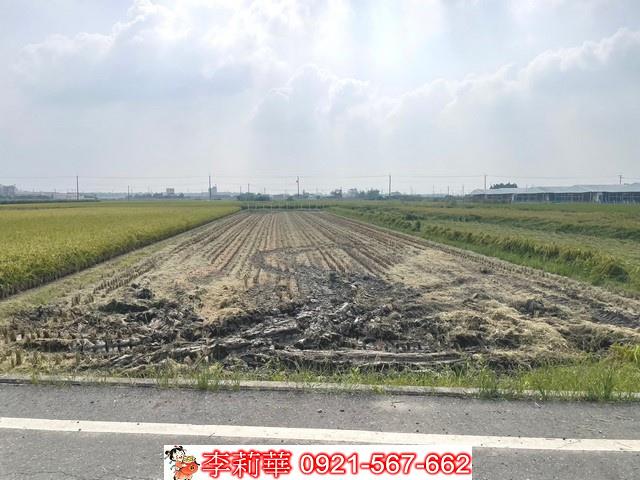 柳營農地-5