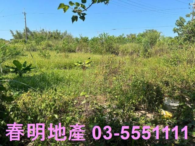 苗栗後龍農地-5