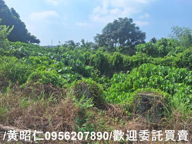 台南歸仁農地-7