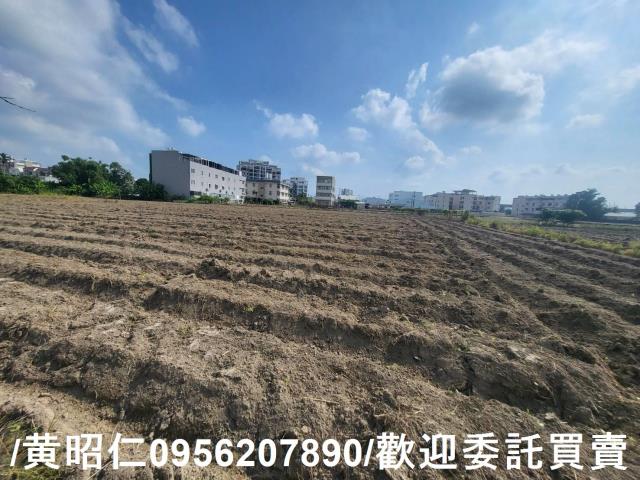 台南新市農地-1