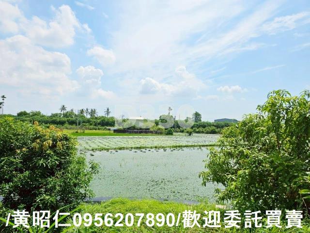 台南官田農地-6