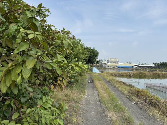 屏東竹田農地-2