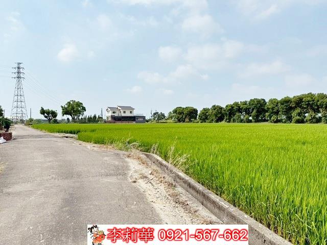 新營農地-1