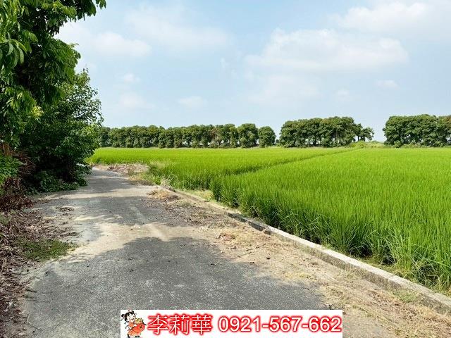 新營農地-2