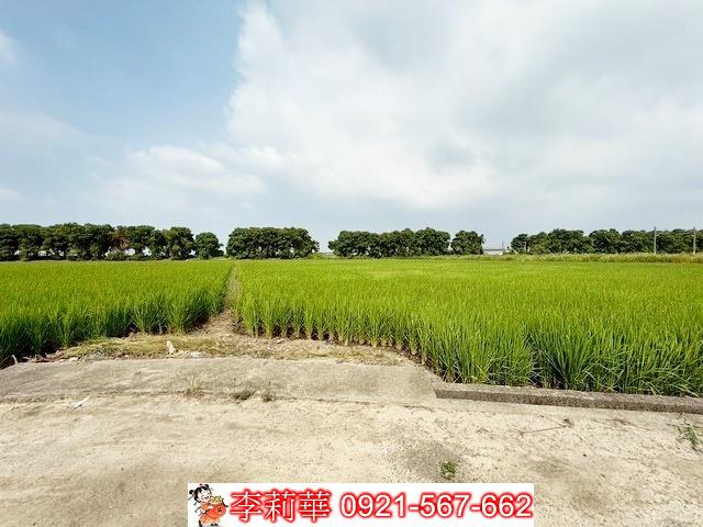 新營農地-3