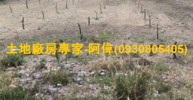 高雄農地大社農地仁武農地鳥松農地大寮農地大樹農地林園農地
