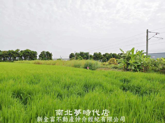 新營農地-0