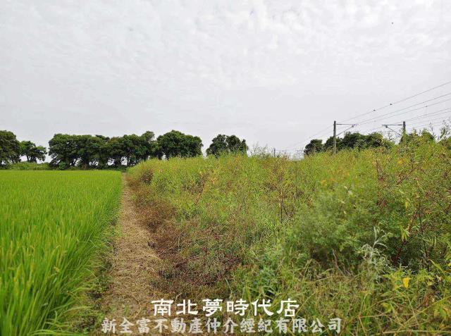 新營農地-3