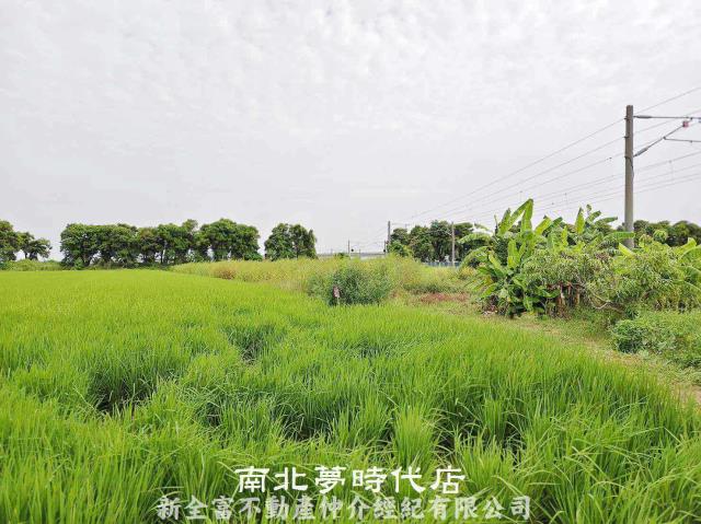 新營農地-5