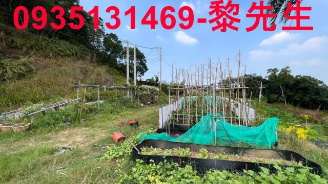 寶山農地寶山土地