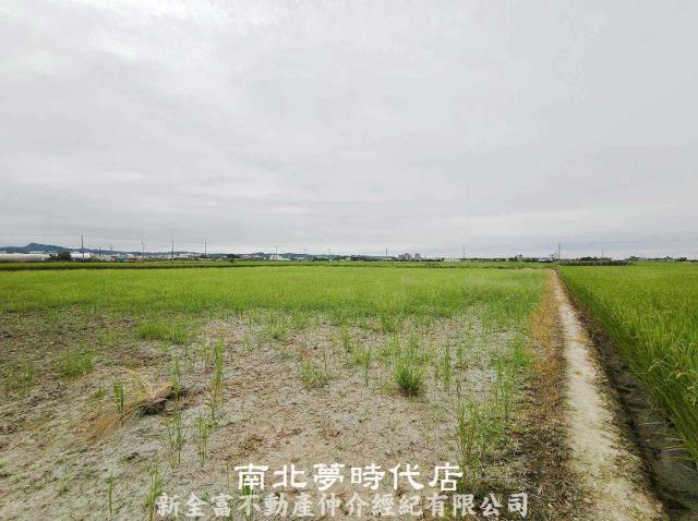 柳營農地-2