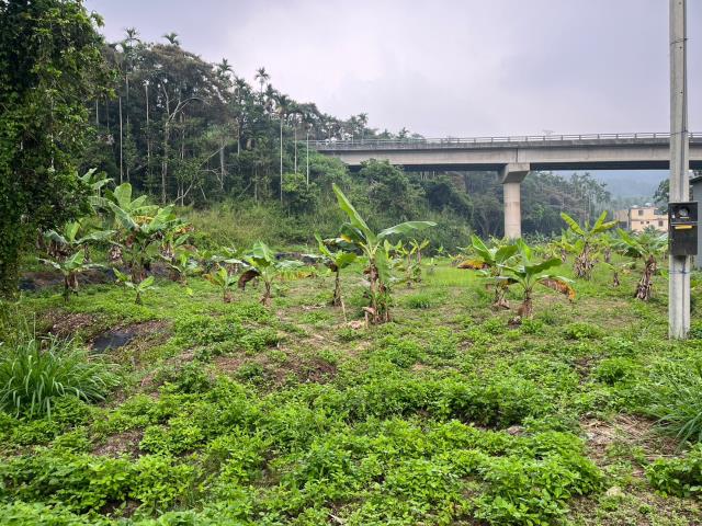 中寮農地-9