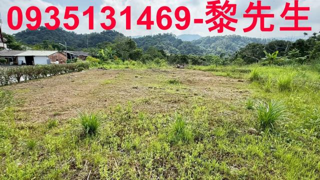 新竹縣芎林鄉低公告現值大面積農林地