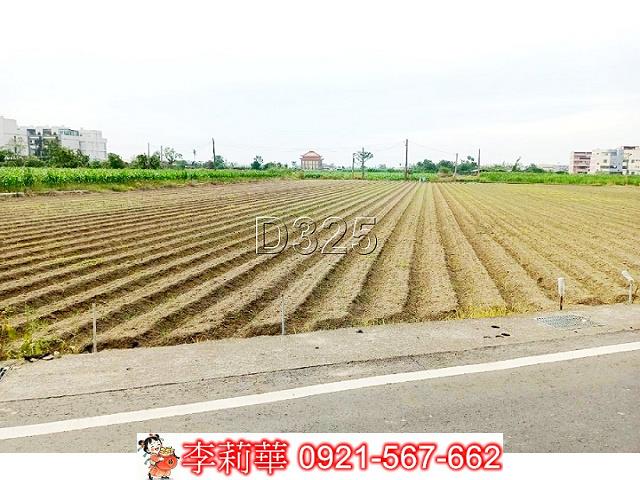 台南佳里農地-10