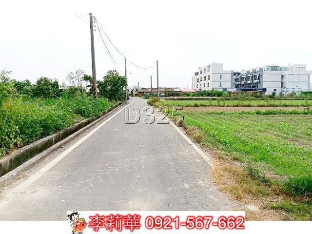 新市大社175線旁一般農