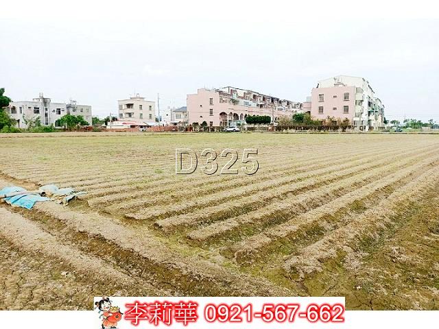 台南佳里農地-6